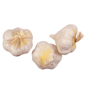 Муляж чеснок 3шт