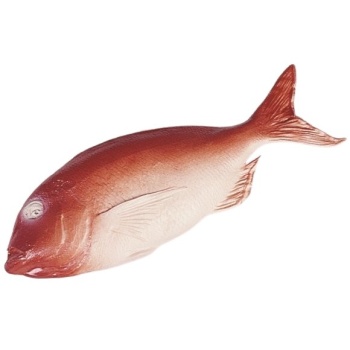 Муляж зубан красный