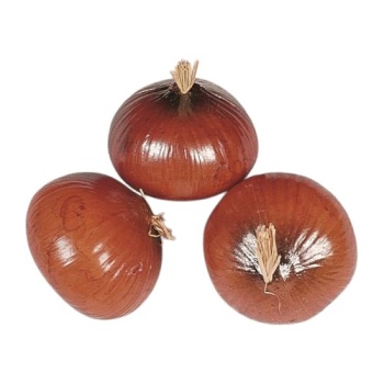 Муляж лук коричневый 3шт