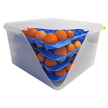 Контейнер для яиц Contacto 35.5x32.5x20см HACCP