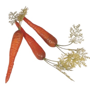 Муляж морковка с хвостиком 3шт