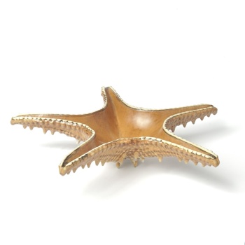 Блюдо 28см 100мл Звезда "Pearl Frutti di Mare" керамика