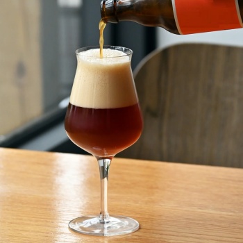 Набор бокалов для пива 420мл BIRRATEQUE Beer Tester, 2шт