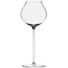 Бокал 460мл для апельсинового вина LINEA UMANA