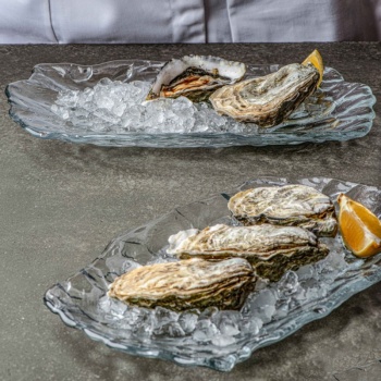 Блюдо прямоугольное стеклянное 28x17x(h)3см Lava прозрачное