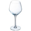 Бокал для вина 470мл CABERNET Vins Jeunes