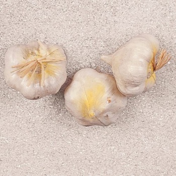 Муляж чеснок 3шт