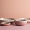 Салатник Ø14см 485мл Pink Pott