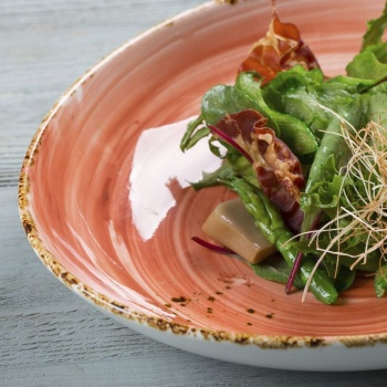 Салатник 19x16см 500мл ORGANICA Spicy