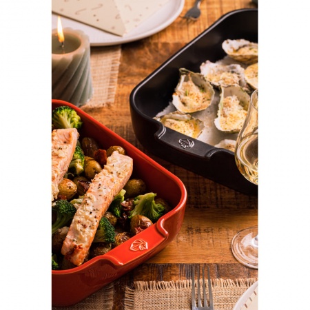 Емкость прямоугольная для запекания APPOLIA 25см RED