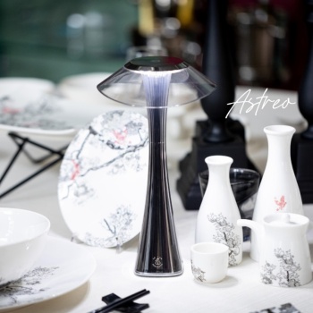 Лампа настольная светодиодная 27см Astreo серого цвета