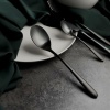 Ложка столовая 21см Alessi-Black черный матовый цвет PVD покрытие