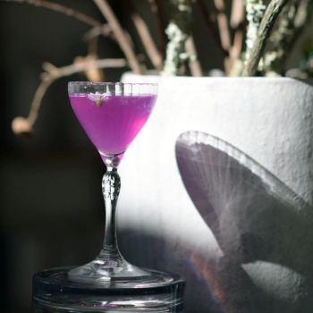 Бокал для коктейля 140мл Nick&Nora AMERICA'20s