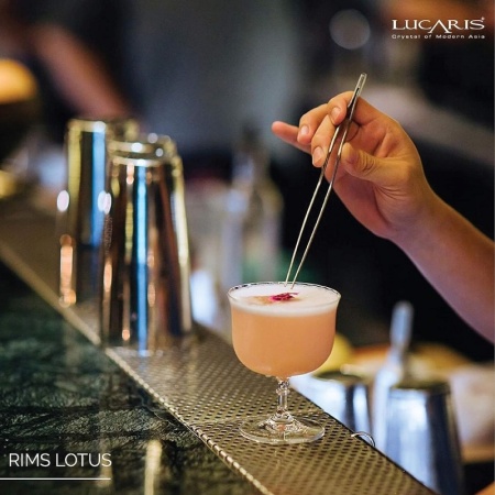 Бокал для коктейлей 270мл RIMS Orient Lotus