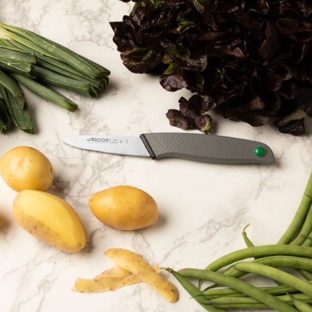 Нож для овощей и фруктов 8см COLOUR PROF