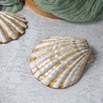 Блюдо 16см 125мл Ракушка "Pearl Frutti di Mare" керамика