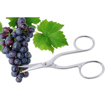 Ножницы для винограда 16см Contacto