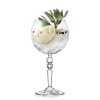 Бокал 580мл Gin Tonic ALKEMIST - арт.27433020406 RCR Luxion