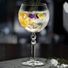 Бокал 580мл Gin Tonic ALKEMIST - арт.27433020406 RCR Luxion