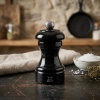 Мельница для соли BISTRORAMA Black lacquer 10см
