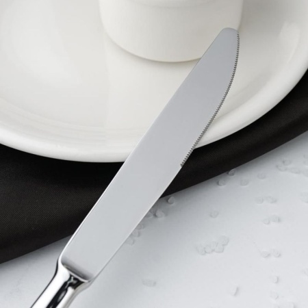 Нож столовый 23.5см SALSA