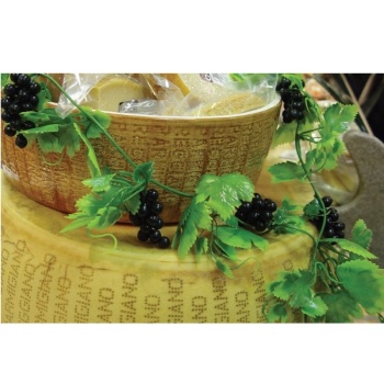 Муляж ЛОЗА ЧЕРНОГО ВИНОГРАДА 1850мм