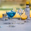 Бокал для коктейля и мартини 250мл CLASSIC COCKTAILS