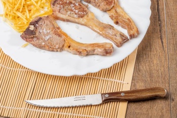 Нож для стейка 10.5см LATINA - 100401 Arcos