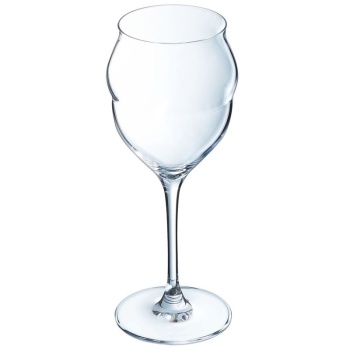 Бокал для игристого вина 300мл MACARON