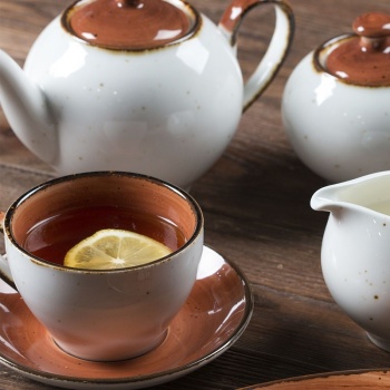 Чайник 550мл Fusion BROWN SHORE