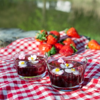 Стакан 270мл Roma APEROS