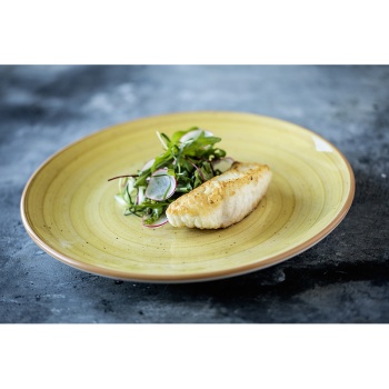 Тарелка плоская Ø25см AURA Amber Gourmet