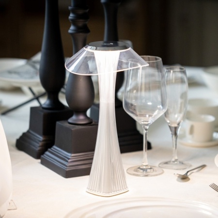 Лампа настольная светодиодная 27см Astreo белого цвета