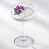 Бокал 300мл Tentazioni Sparkling Wines coupe