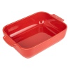 Емкость прямоугольная для запекания APPOLIA 25x15.5см 1.4л RED