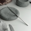 Нож десертный 19.6см AMBOSS