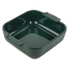 Емкость квадратная для запекания APPOLIA 21см 1.1л Forest Green