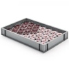Ящик-поддон 60x40x8см RingoPlast
