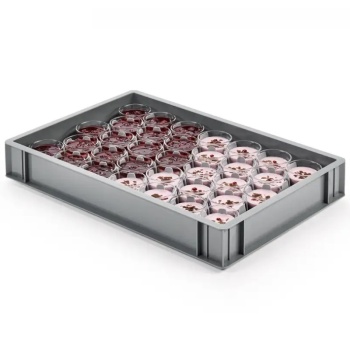 Ящик-поддон 60x40x8см RingoPlast