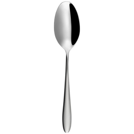 Ложка столовая 20.8см TURIN Arc all mirror