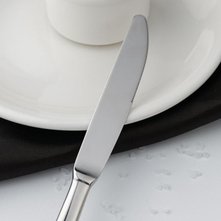 Нож десертный 21см SALSA