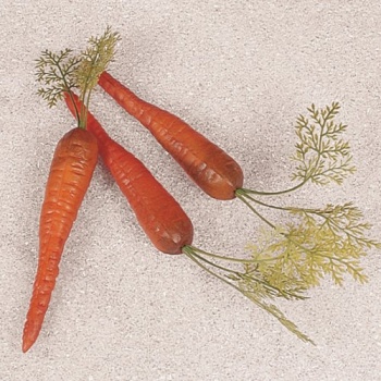 Муляж морковка с хвостиком 3шт