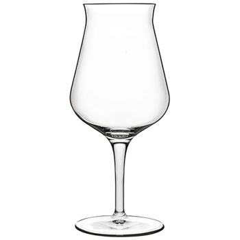 Набор бокалов для пива 420мл BIRRATEQUE Beer Tester, 2шт