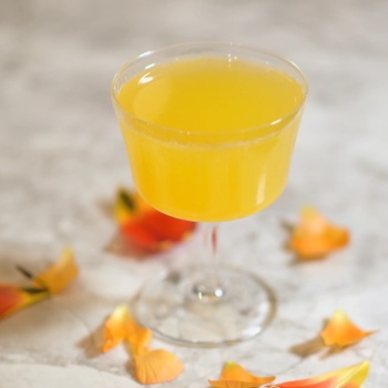 Бокал для коктейлей 220мл Fizz BARTENDER Novecento