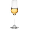 Бокал 90мл Grappa EDITION