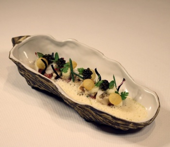 Салатник 24x10.6x5см Oyster shell M - Raw by Kevala