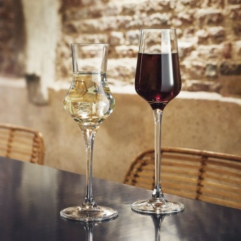 Рюмка 100мл SPIRITS Grappa