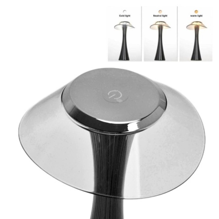 Лампа настольная светодиодная 27см Astreo серого цвета