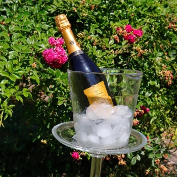 Емкость для охлаждения бутылок Ø20x(h)19см Alkan