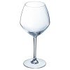 Бокал для вина 580мл CABERNET Vins Jeunes